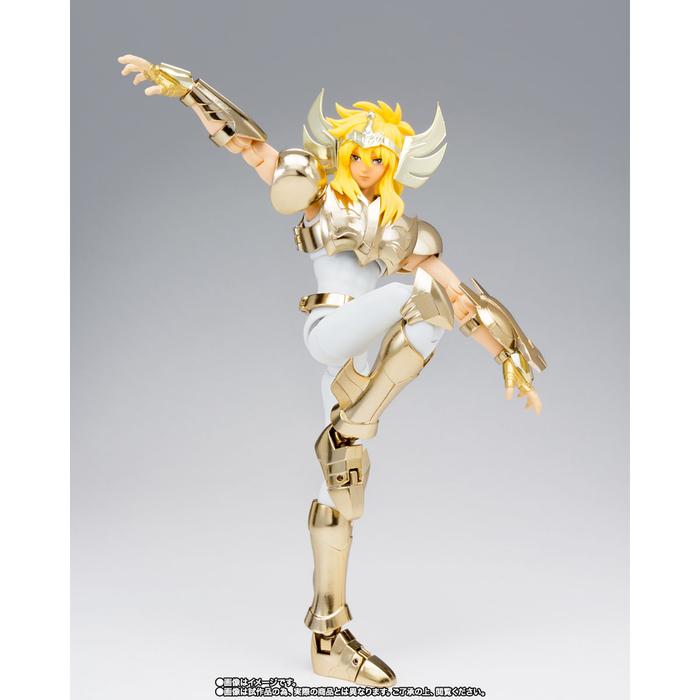 Saint Cloth Myth EX Golden Limited 5-Figure Set – Tamashii Nations Store Exclusive | Sugoi Collectible NZ & AUS