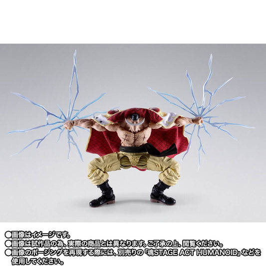 Bandai S.H.Figuarts Whitebeard Summit War of Marineford – photo 2 – SugoiCollectible New Zealand and Australia