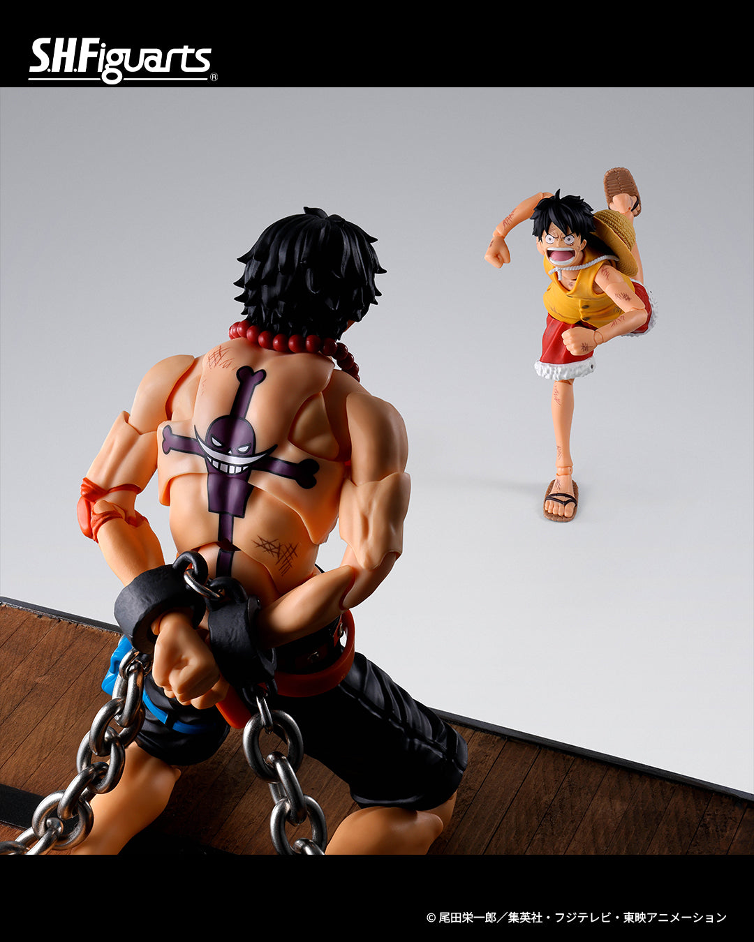 (Pre-order) Bandai S.H.Figuarts One Piece Portgas D. Ace -Marineford- 1/12 Scale Action Figure (Tamashii Web Exclusive)