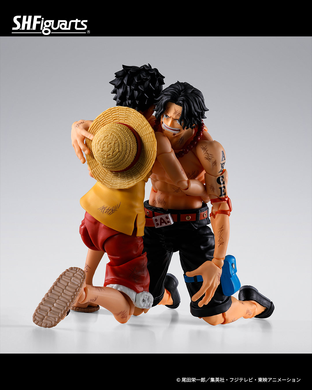 (Pre-order) Bandai S.H.Figuarts One Piece Portgas D. Ace -Marineford- 1/12 Scale Action Figure (Tamashii Web Exclusive)