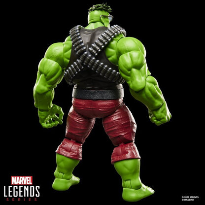 (Pre-order) Hasbro Marvel Legends Professor (Smart) Hulk 1/12 Action Figure