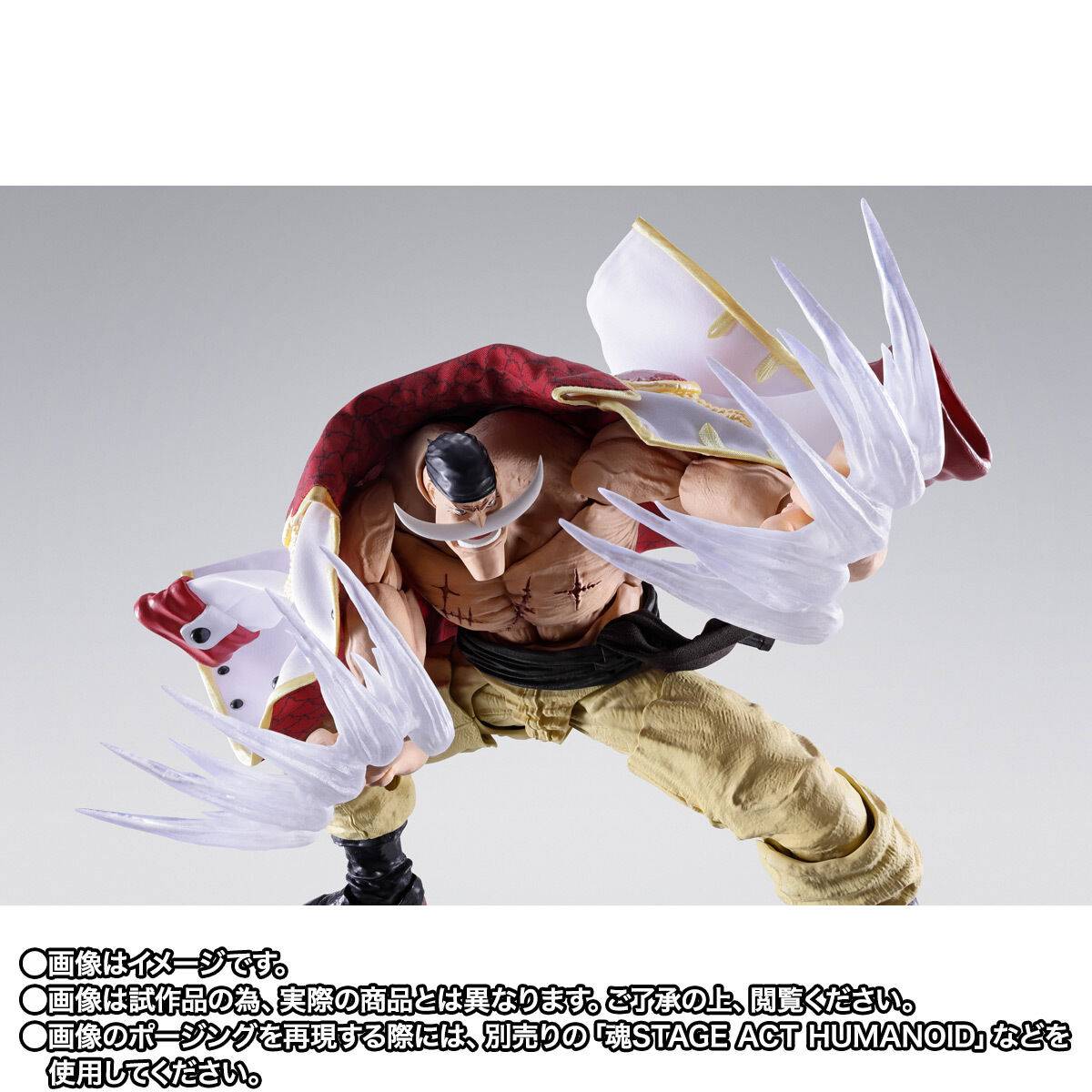 Bandai S.H.Figuarts Whitebeard Summit War of Marineford – photo 3 – SugoiCollectible New Zealand and Australia
